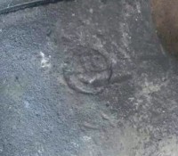 Re: Кто узнает производителей? / 1-.jpg
65.47 КБ, Просмотров: 42387