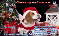 С Новым годом! / ny2018.jpg
93.7 КБ, Просмотров: 40406