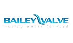 Кто узнает производителей? / США.Bailey Valves Inc.jpg
12.95 КБ, Просмотров: 39663