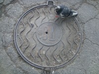 Re: Кто узнает производителей? / DSC08150.JPG
2.19 МБ, Просмотров: 41856