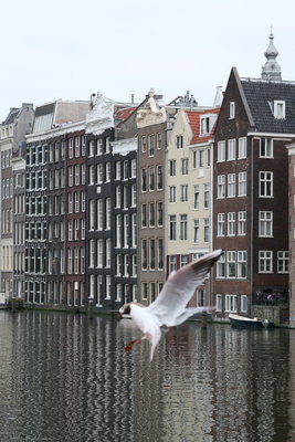 Амстердам.. Город, где можно всё! / IMG_8333.jpg
2.44 МБ, Просмотров: 66183