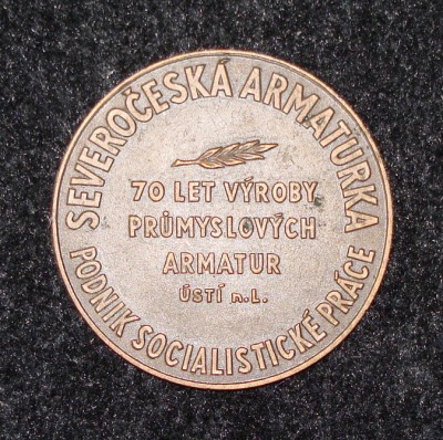 Продам медаль Severočeská armaturka 70 лет 1899 - 1969 / DSC05086.JPG
274.86 КБ, Просмотров: 27605
