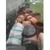 Предлагаем из наличия:
