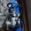 30нж41нж AISI316Ti DN100-10шт-58500 с ндс DN80-6шт-48700 DN50-10шт -26770.