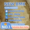 BMK Glycidate Powder CAS 5413-05-8  | Stable Supply | Solvent-Free Process