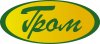 ГРОМ 