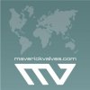 Maverick Valves B.V.