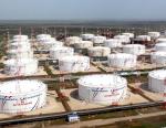 «Транснефть» закупит обратные затворы для комплектации производственных объектов