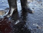 Прорыв трубы «Саратовнефтегаза» привел к разливу нефти