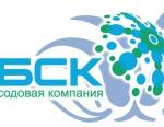 Башкирская содовая компания попала в рейтинг 500 крупнейших компаний России