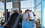 В Туркменистане развивают водное хозяйство совместно с Grundfos