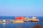 В «Транснефть – Порт Козьмино» обследование технологические трубопроводы