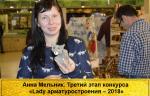 Анна Мельник. Третий этап конкурса «Lady арматуростроения – 2018»