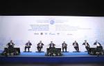 На пленарном заседании ПМГФ оценили роль газа