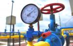 В Архангельской области обсудили возможность подключения к газу ТЭЦ в Северодвинске