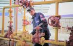 «Газпром газораспределение Север» провел техобслуживание 20 000 единиц запорной арматуры