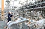 В поселке Усть-Луга возведут новое газохимическое производство