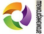Портфель заказов АО «Атомэнергомаш» по итогам 2015 года увеличился почти в 2 раза до 400 млрд рублей