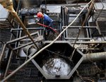  Многие сланцевые нефтедобытчики в США находятся на грани выживания