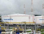 Транснефть столкнулась с проблемами при импортозамещении