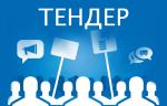 Организатором новых конкурсных торгов выступило публичное акционерное общество «Квадра — Генерирующая компания»