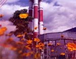 Рынок: ОАО «МОЭК» готовятся продавать единым лотом за 98,6 млрд. рублей без учета НДС