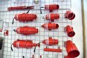 Международная выставка «НЕВА 2023»