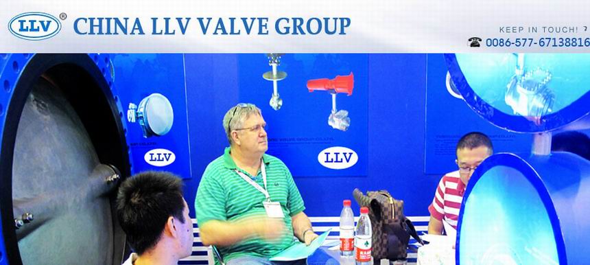 China LLV Group