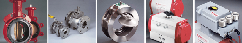 Bray Controls International