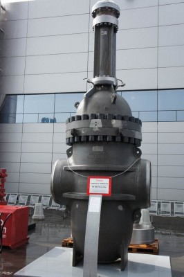 В Московском Экспоцентре открылась Нефть и Газ - MIOGE-2011 / DSC04030.JPG
158.95 КБ, Просмотров: 53794