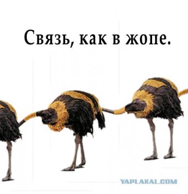 ОАО МТС (Мобильные телесистемы) / post-27-12542421434862.jpg
26.09 КБ, Просмотров: 32412