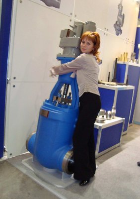 PCVEXPO-2009: "Чеховский завод Машиностроитель" / DSC00171.JPG
118.96 КБ, Просмотров: 8206
