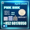 New 28578-16-7 PMK Advanced Production
