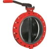 Фланцевый затвор ГРАНВЭЛ DN 40-300мм, PN 1,0/1,б МПа