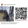 Патрубок резиновый к шланговой задвижке 33а17р (33а23р) Ду150. Пр-ль БАЛТПРОМАРМАТУРА.