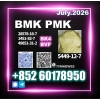 New Bmk CAS 5449-12-7 Contact Maggie for Details