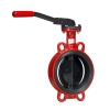 Дисковый затвор ГРАНВЭЛ - ЗПСС- FLN(w)-5-50-MN-AB/E седло Flucast AB/E