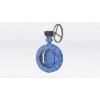 Затворы поворотные дисковые СНМ 58070