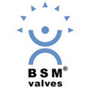 BSM Valves