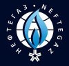 Логотип выставки «НЕФТЕГАЗ-2019»