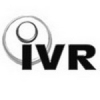 Клеймо &laquo;IVR Valvole a sfera S.p. A&raquo; на отливке
