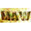 Логотип &laquo;MAW&raquo;