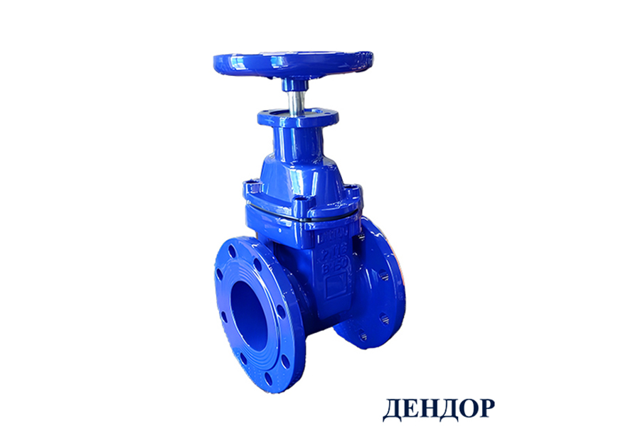 Представитель АО &laquo;ЭНЕРГИЯ&raquo; рассказал о трубопроводной арматуре ДЕНДОР на выездном обучении в ГУП &laquo;Мосводосток&raquo;