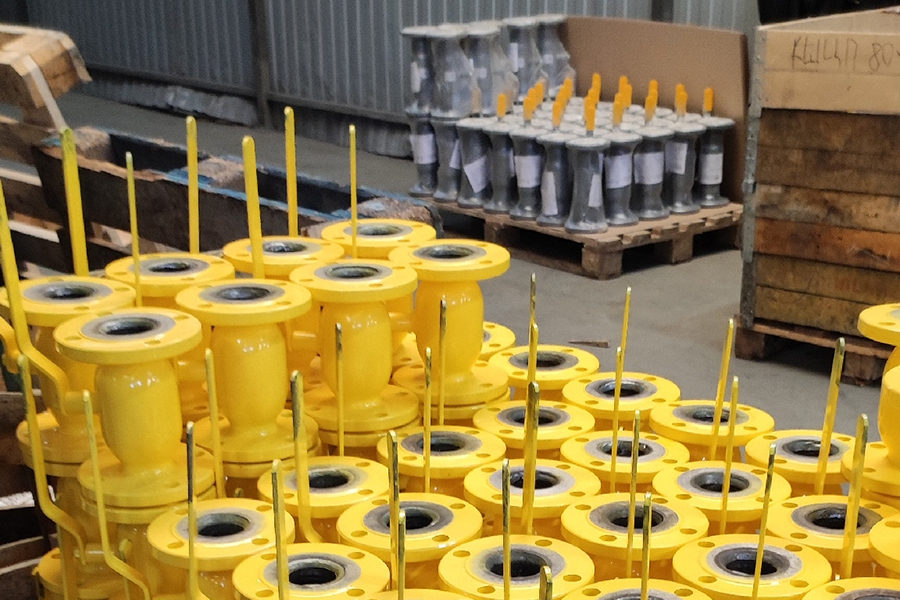 Фото недели: ГК LD подала документы на регистрацию своего промышленного технопарка по выпуску трубопроводной арматуры