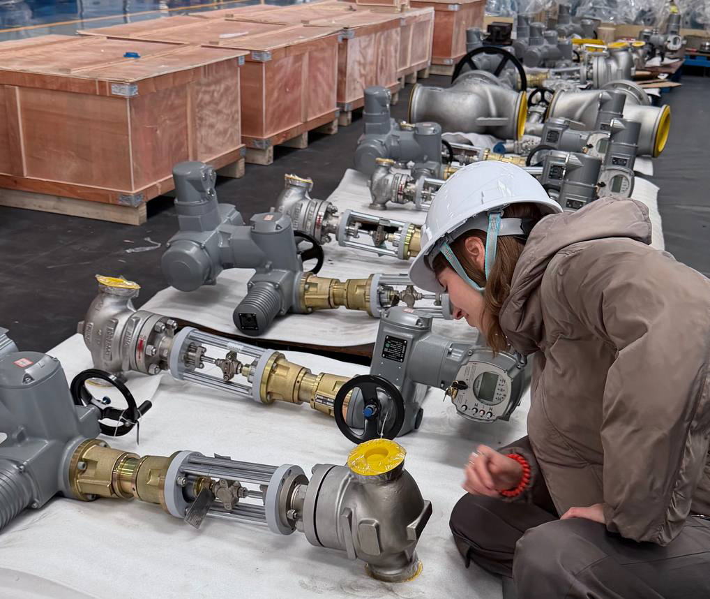 ООО &laquo;Техноатом&raquo; поставит партию регулирующих клапанов на АЭС &laquo;Аккую&raquo; в Турции