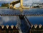 Водоканал Санкт-Петербурга в 2016 году снизит долю импорта в закупках трубопроводной арматуры и прочего оборудования до 1,5 процентов