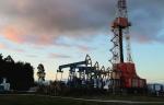 Главгосэкспертиза РФ одобрила обустройство кустов скважин Арланского нефтяного месторождения