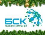 Проект «Новый год - 2018» - АО «Башкирская содовая компания»