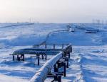 АО «Транснефть – Центральная Сибирь» заменило трубопроводную арматуру на нефтепроводе Александровское – Анжеро-Судженск