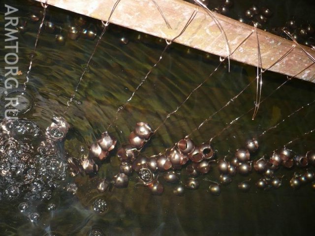 Завод Галлоп: гальванический цех и участок полимерного окрашивания